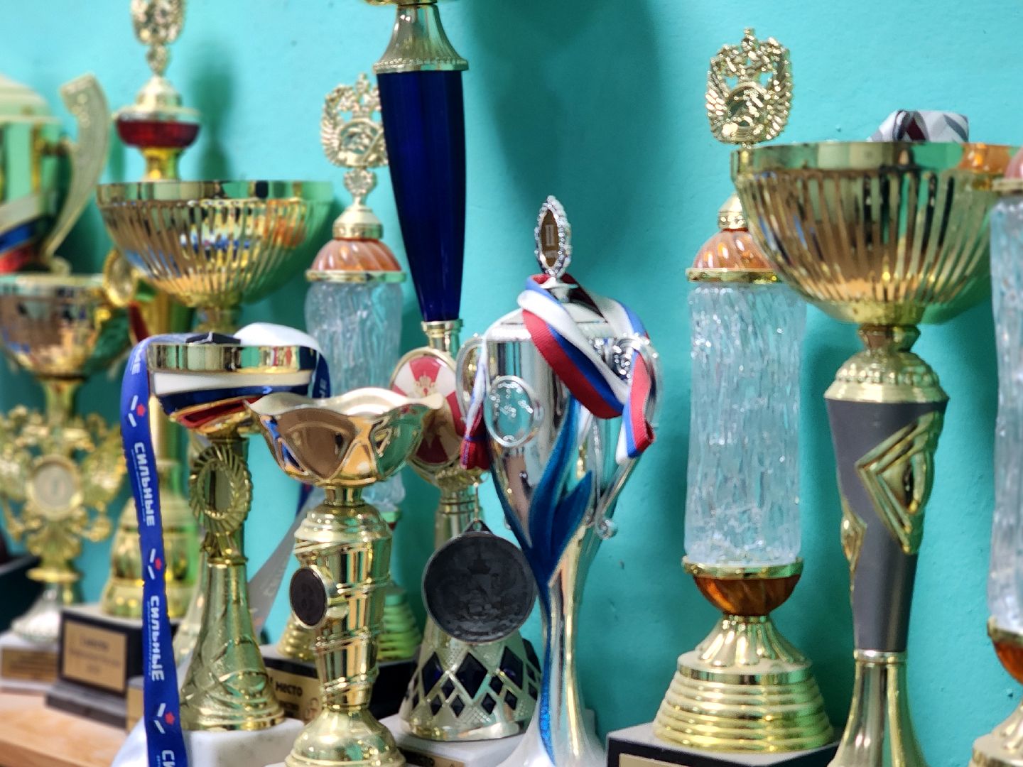 дубна, спорт, стрельба, стрелковый клуб,