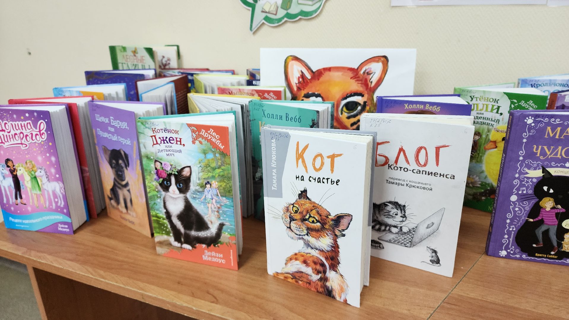 Экологическая викторина , лекция в библиотеке, Лобня, летний детский лагерь,