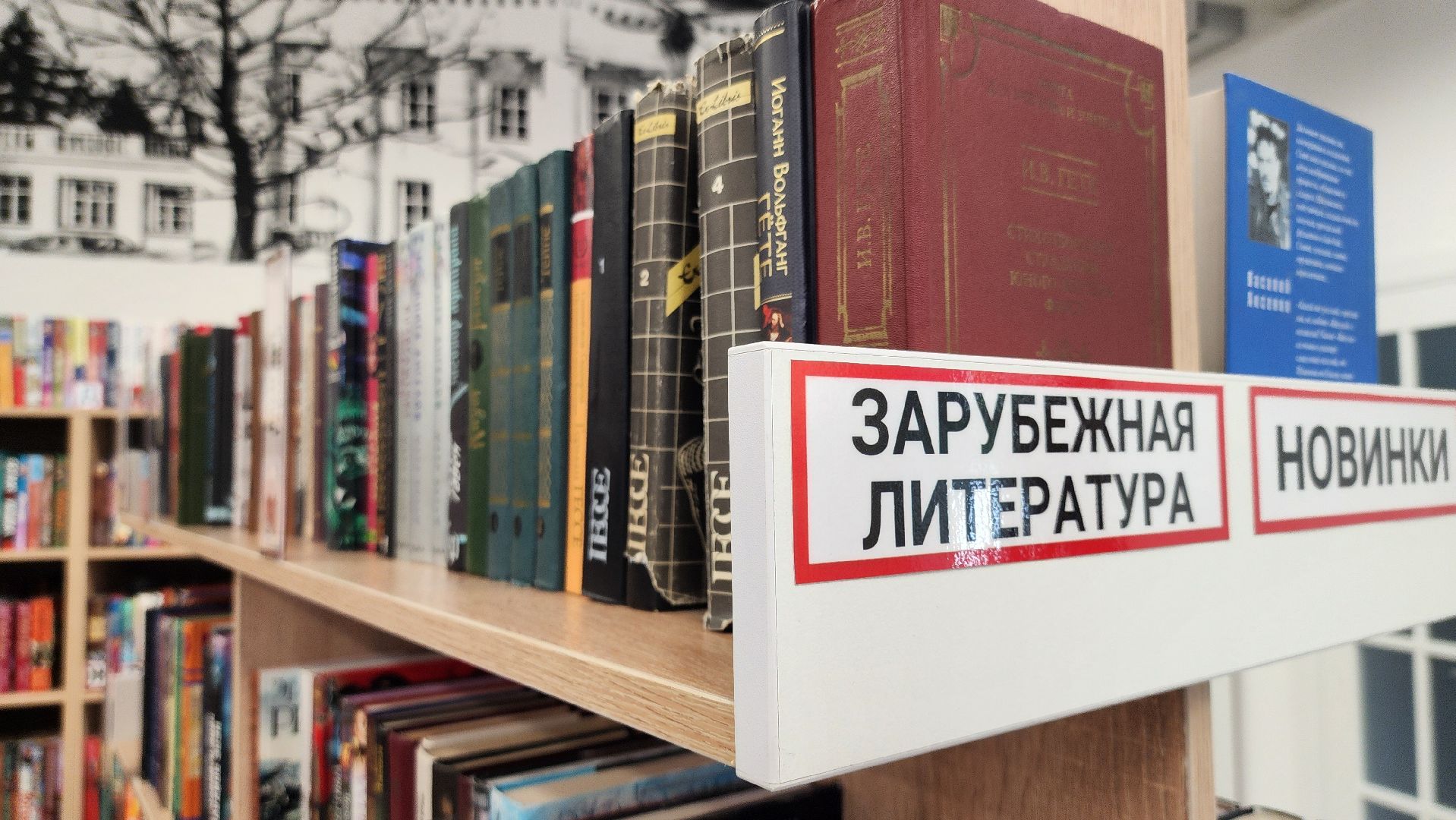 егэ, всош, Руза, нестеровский лицей,