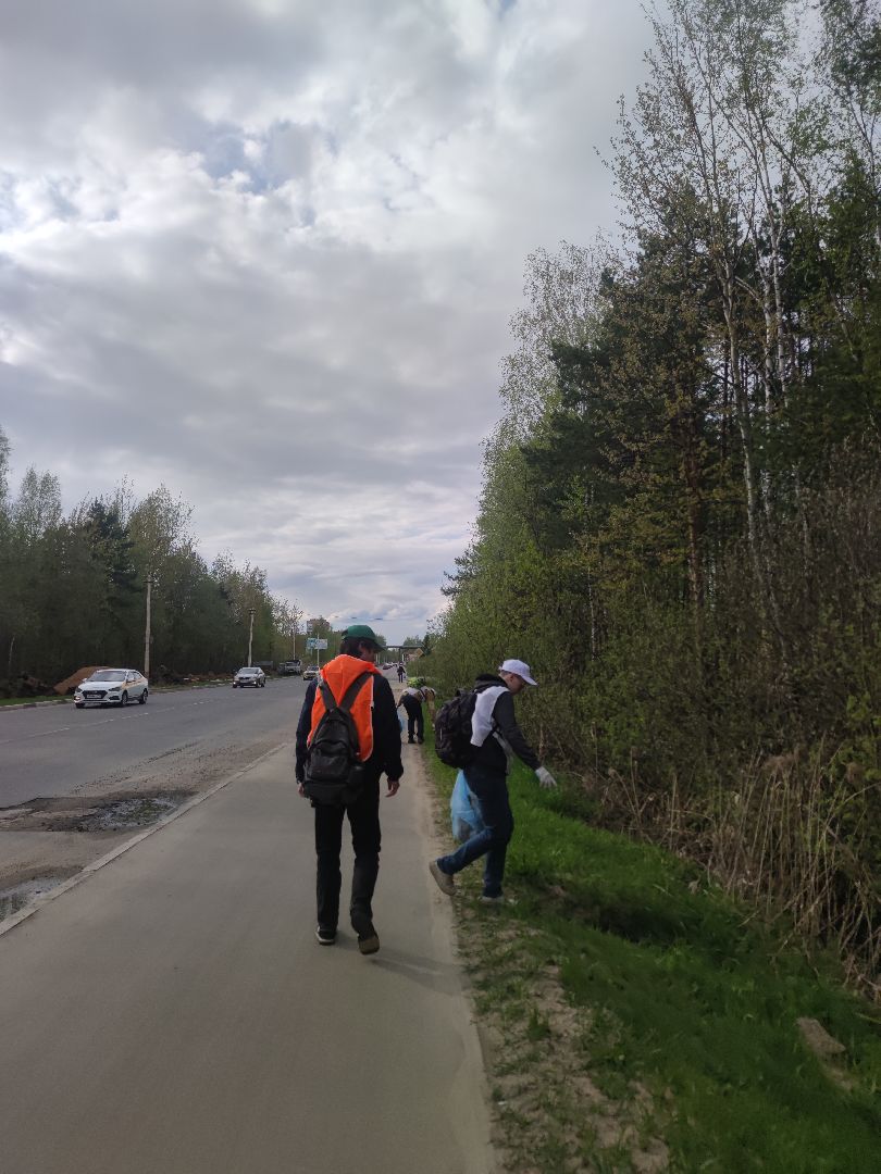 экология, плоггинг, уборка, студенты, Дубна