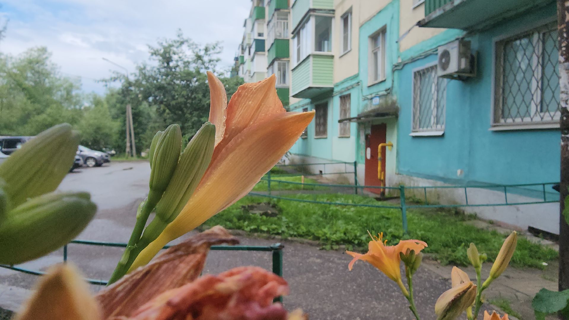 Егорьевск, Подмосковье, Московская область,