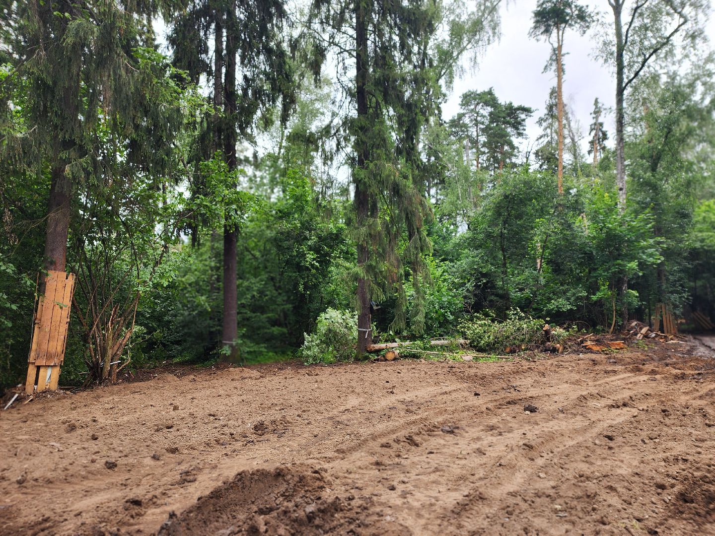 королёв,  благоустройство парка, парк папанинская дача,