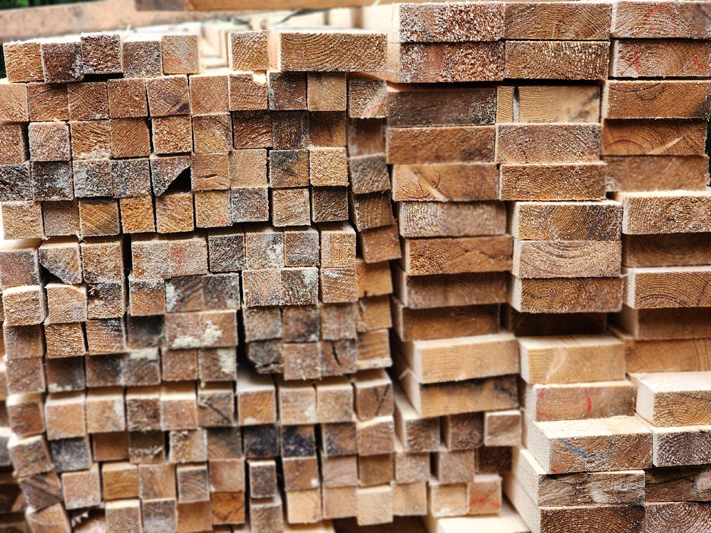 королёв,  благоустройство парка, парк папанинская дача,