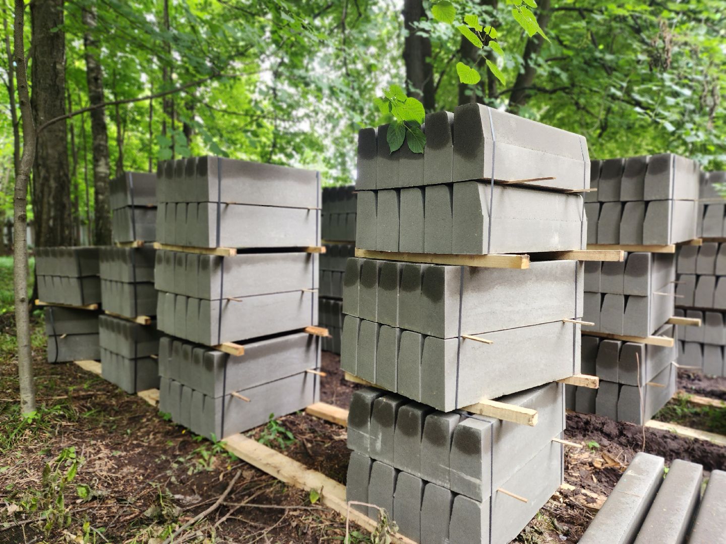 королёв,  благоустройство парка, парк папанинская дача,