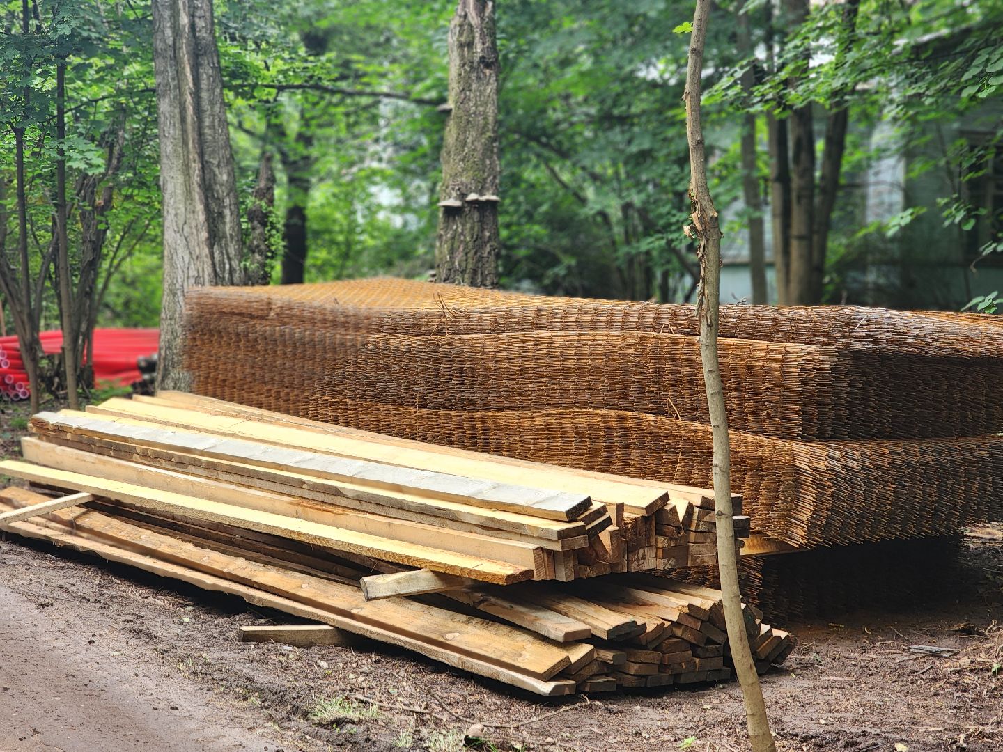 королёв,  благоустройство парка, парк папанинская дача,