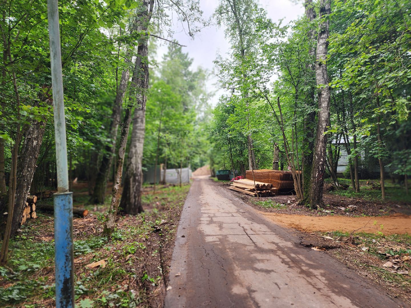 королёв,  благоустройство парка, парк папанинская дача,