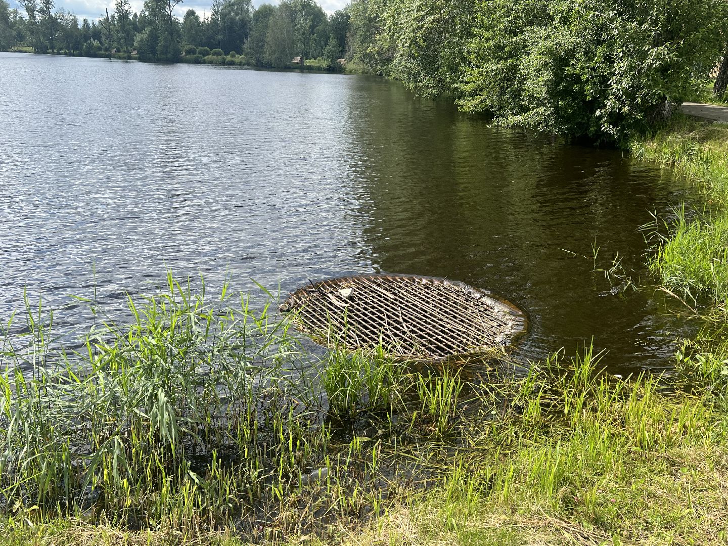 Запрудня, талдомский городской округ,