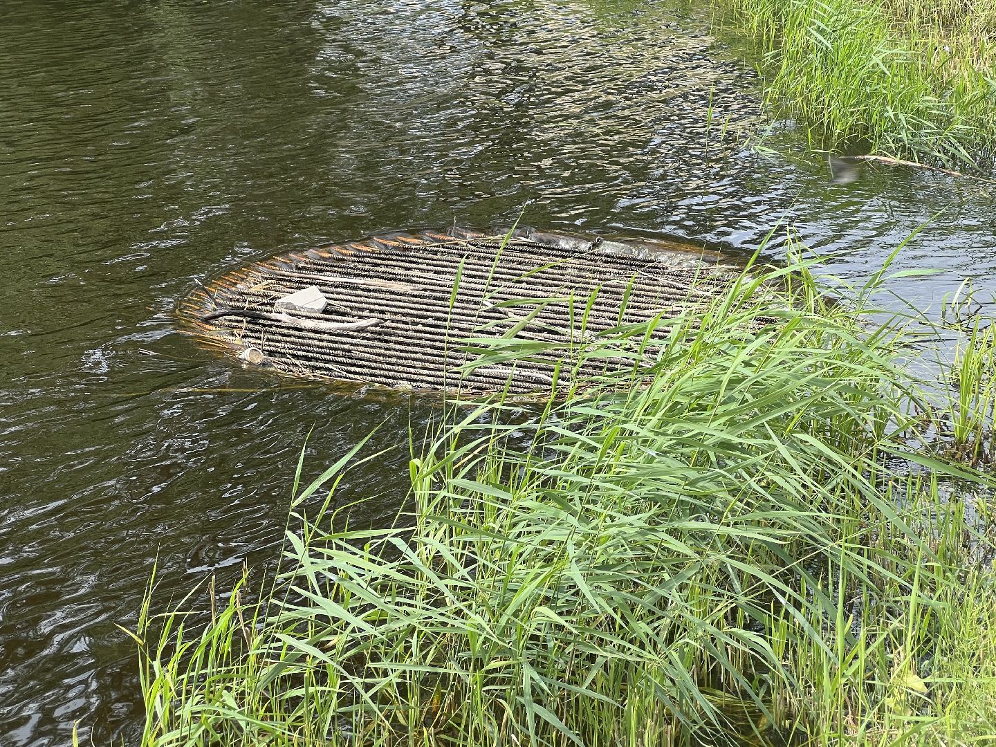Запрудня, талдомский городской округ,