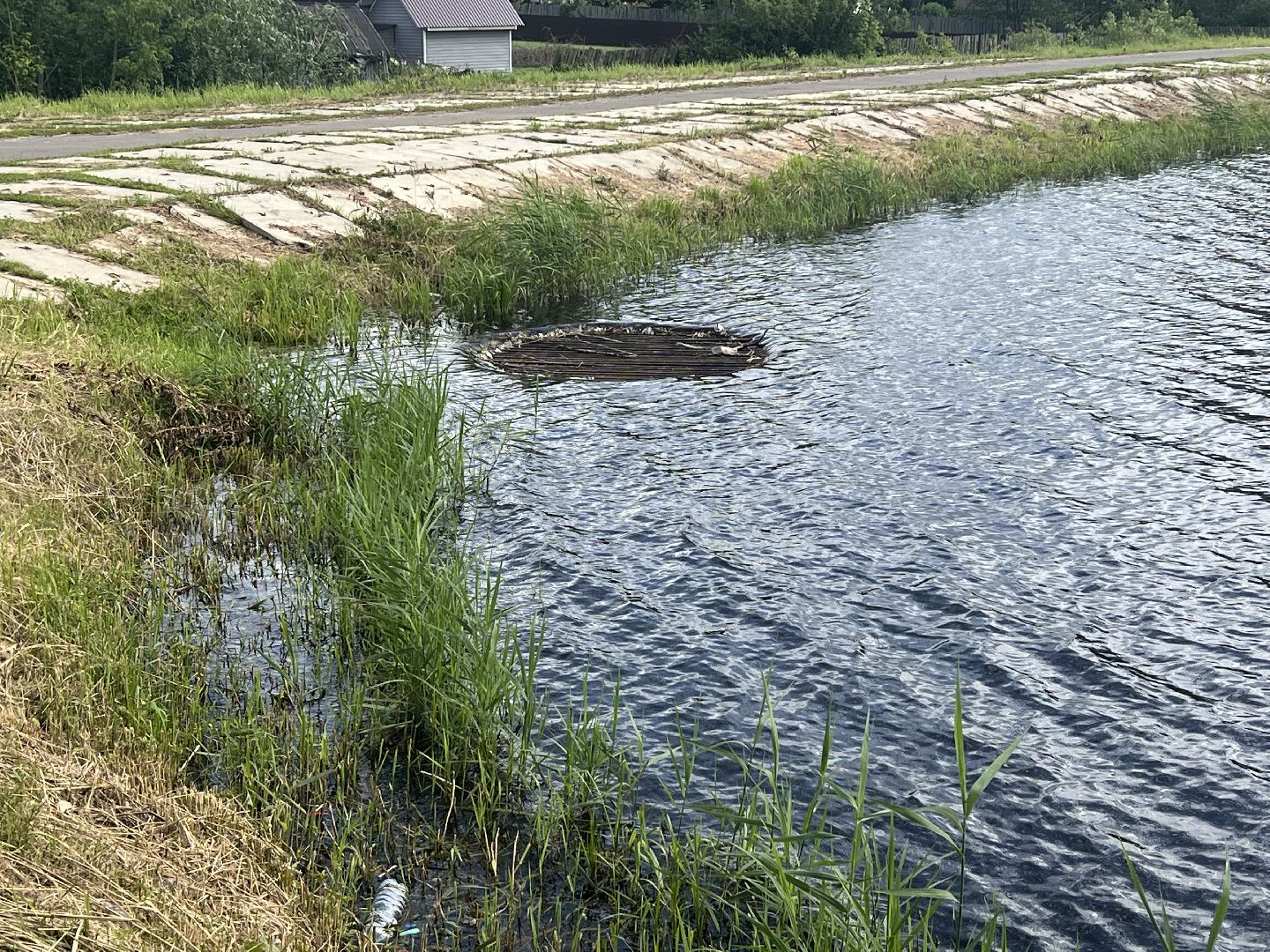 Запрудня, талдомский городской округ,