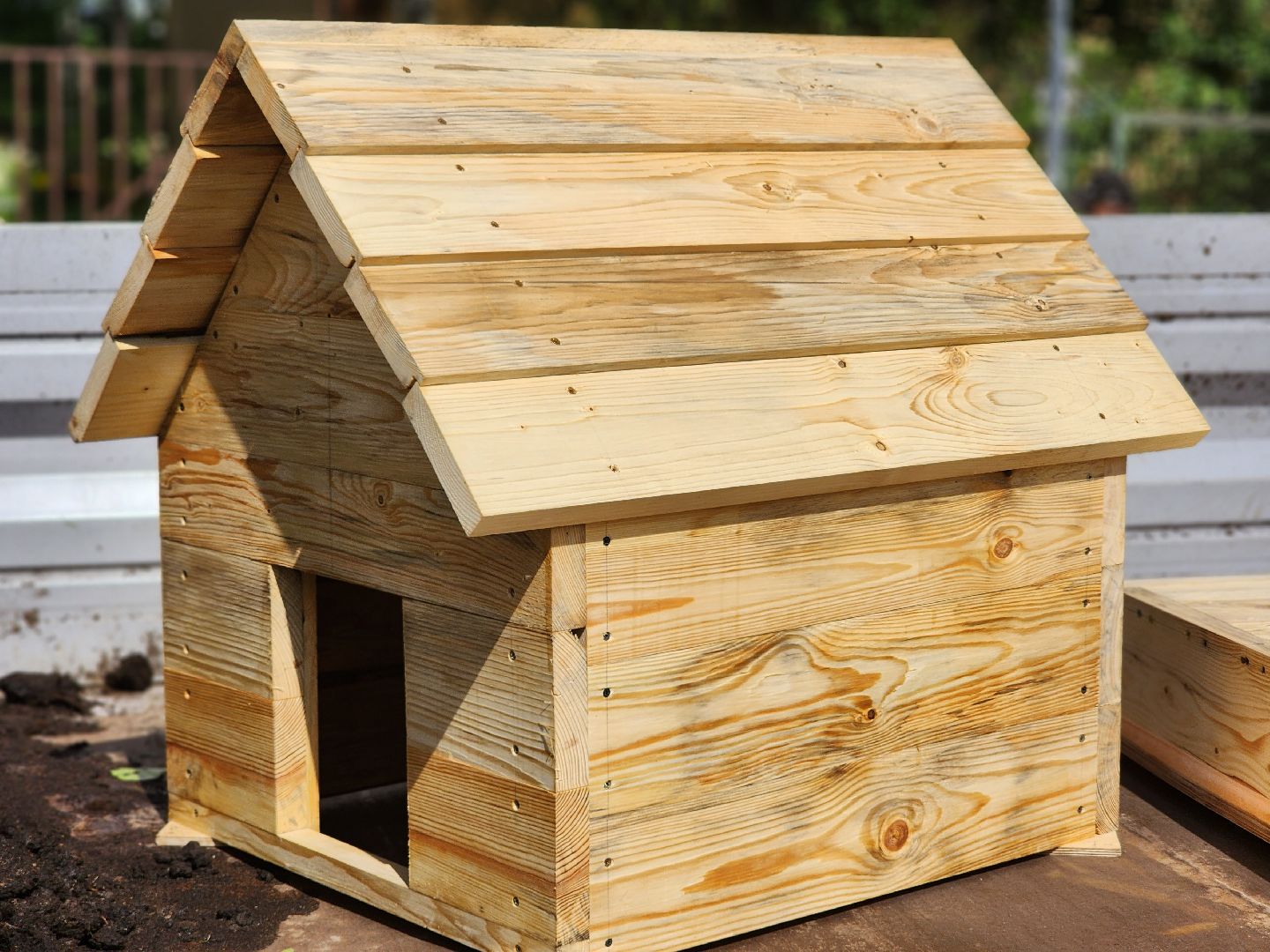 королёв, экоакция, благоустройство , сквер героев курсантов, микрорайон юбилейный,