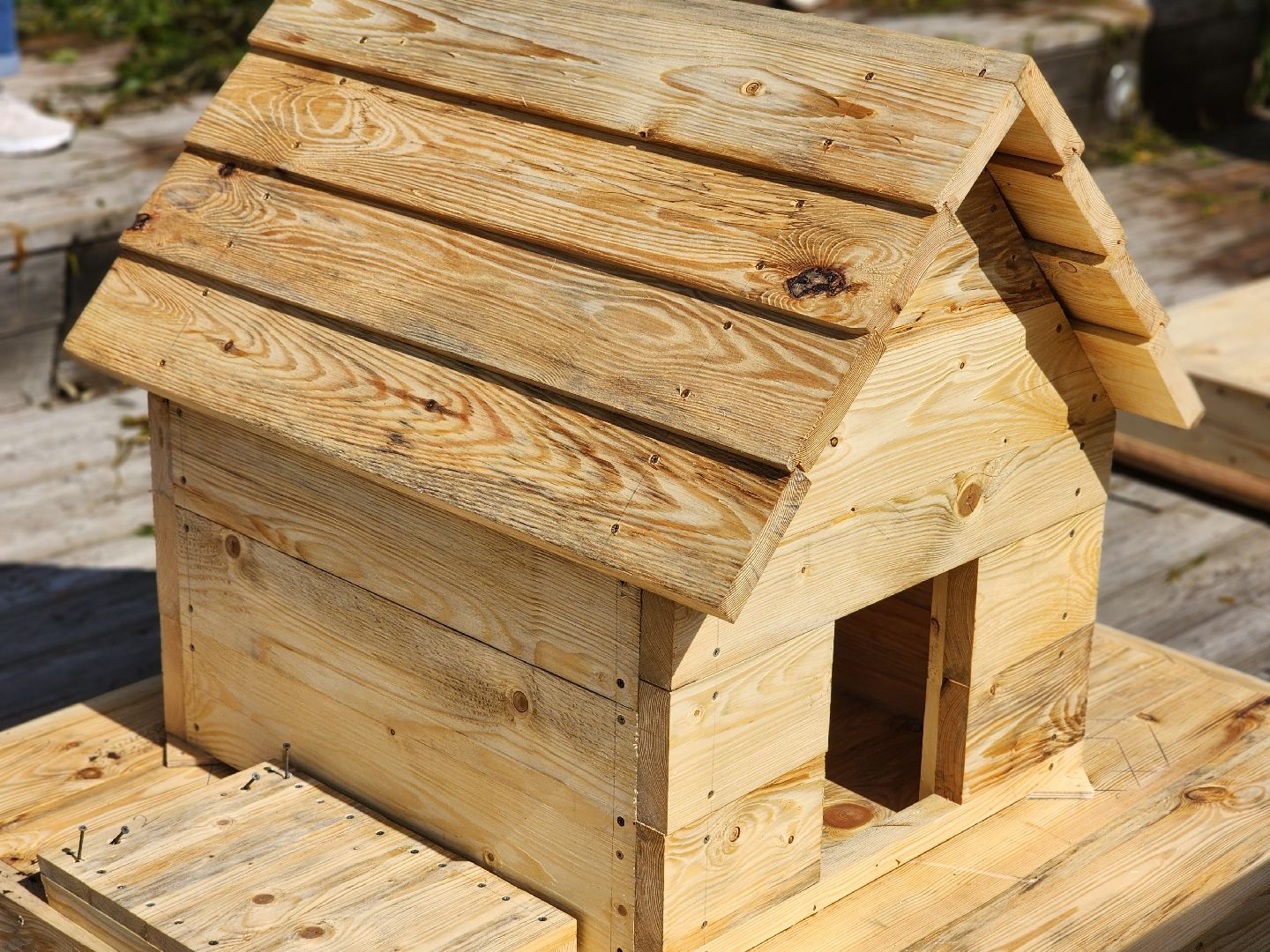 королёв, экоакция, благоустройство , сквер героев курсантов, микрорайон юбилейный,