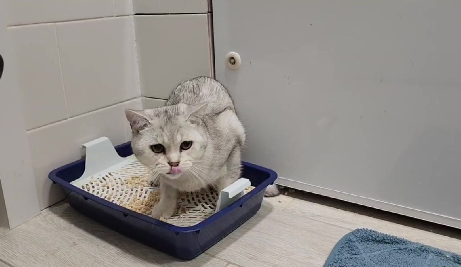 люберцы, аварийно-диспетчерская служба,