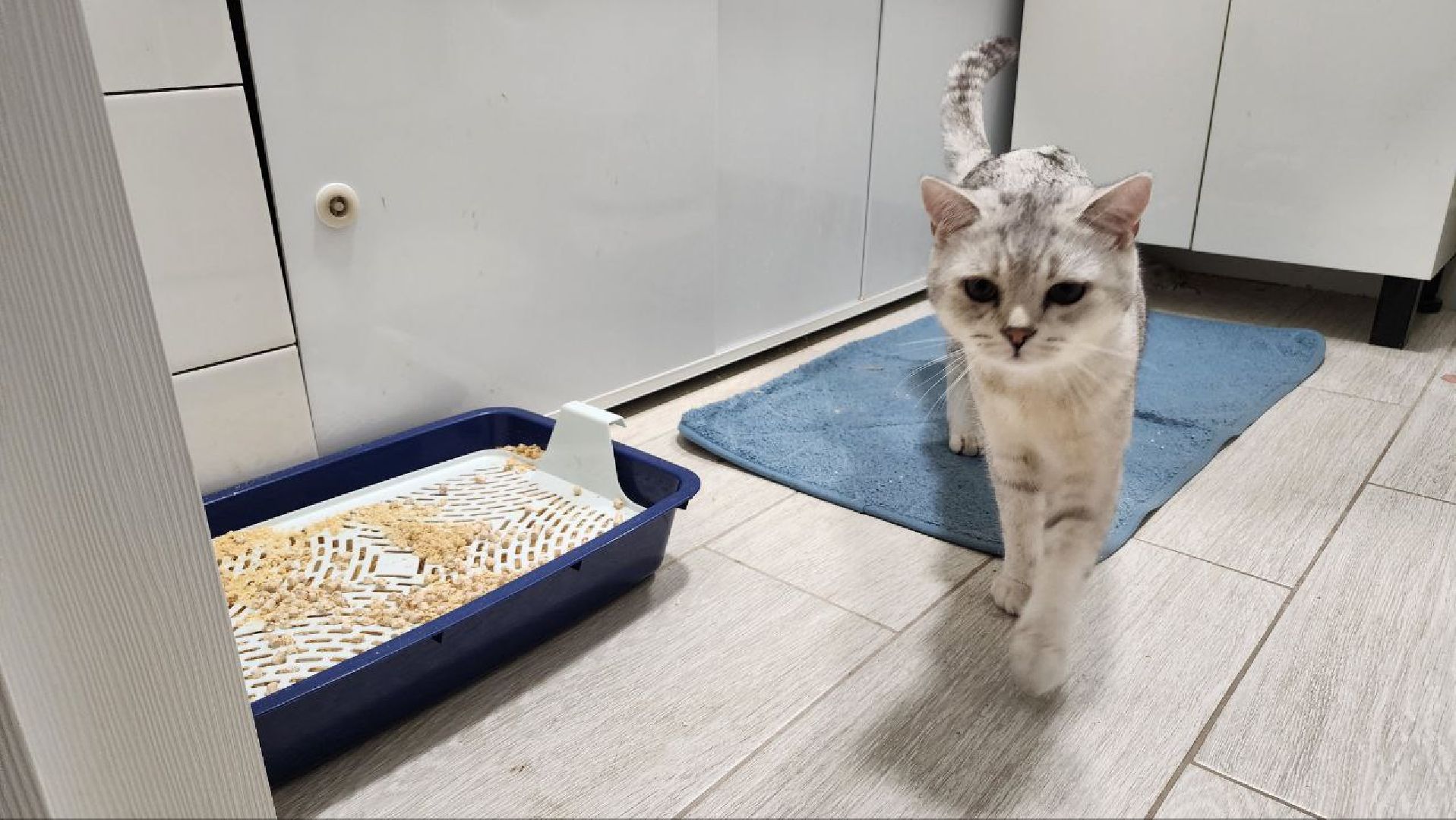 люберцы, аварийно-диспетчерская служба,