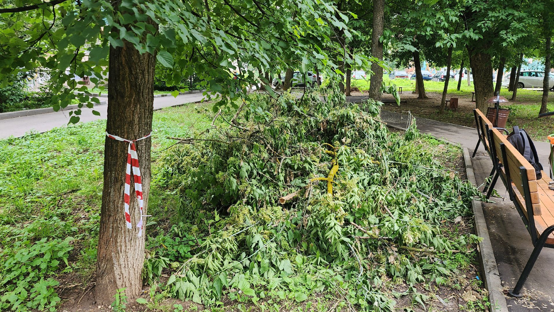 серпухов,  подмосковье, благоустройство,