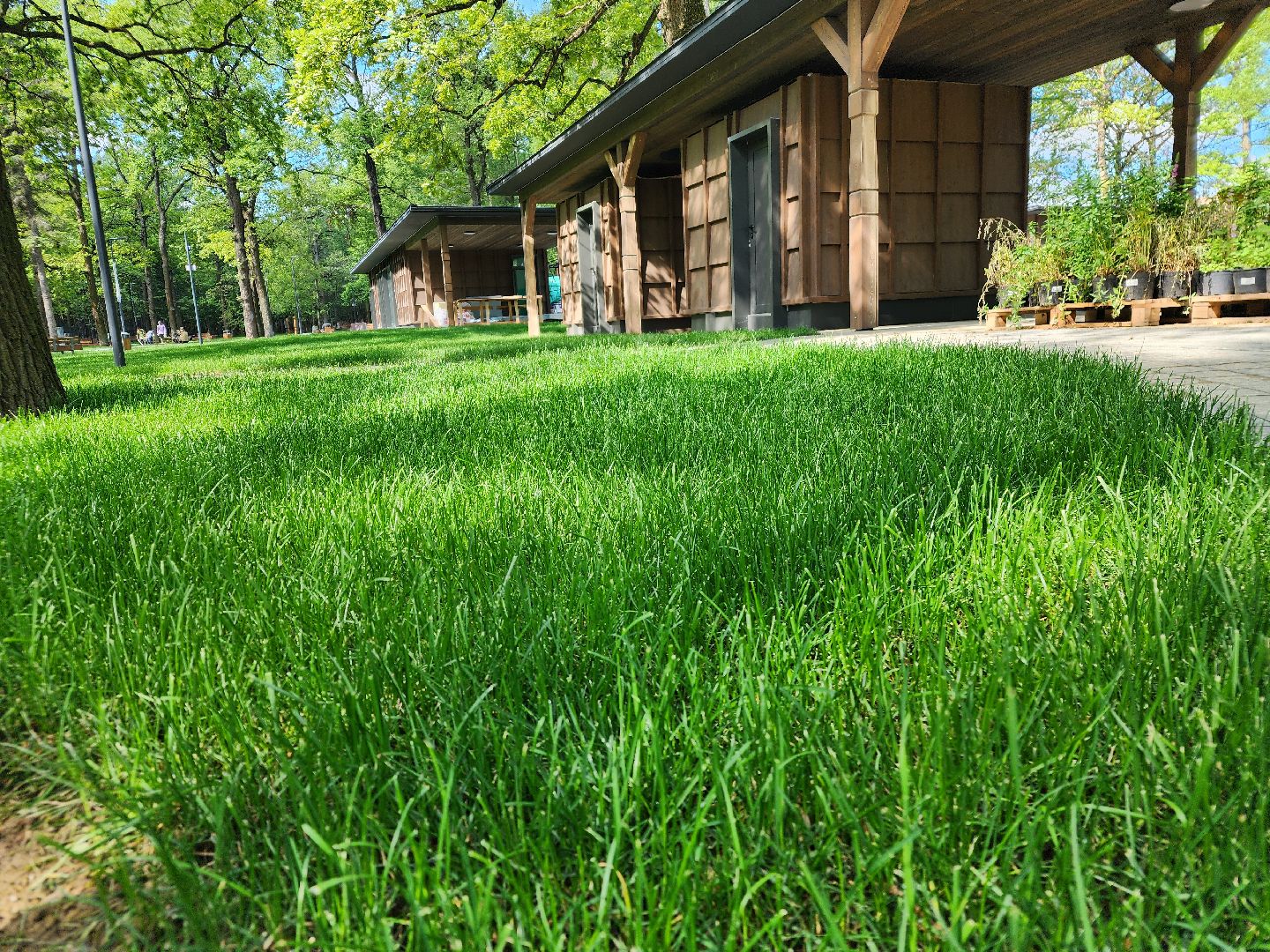 подольск, парк дубрава, реконструкция,