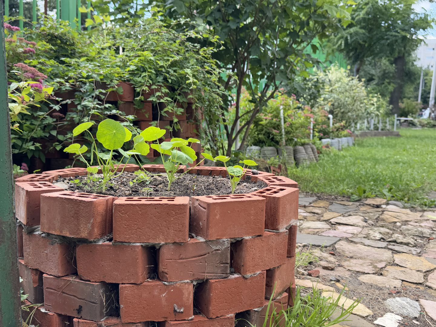 балашиха, двор-оранжерея, заречная улица,