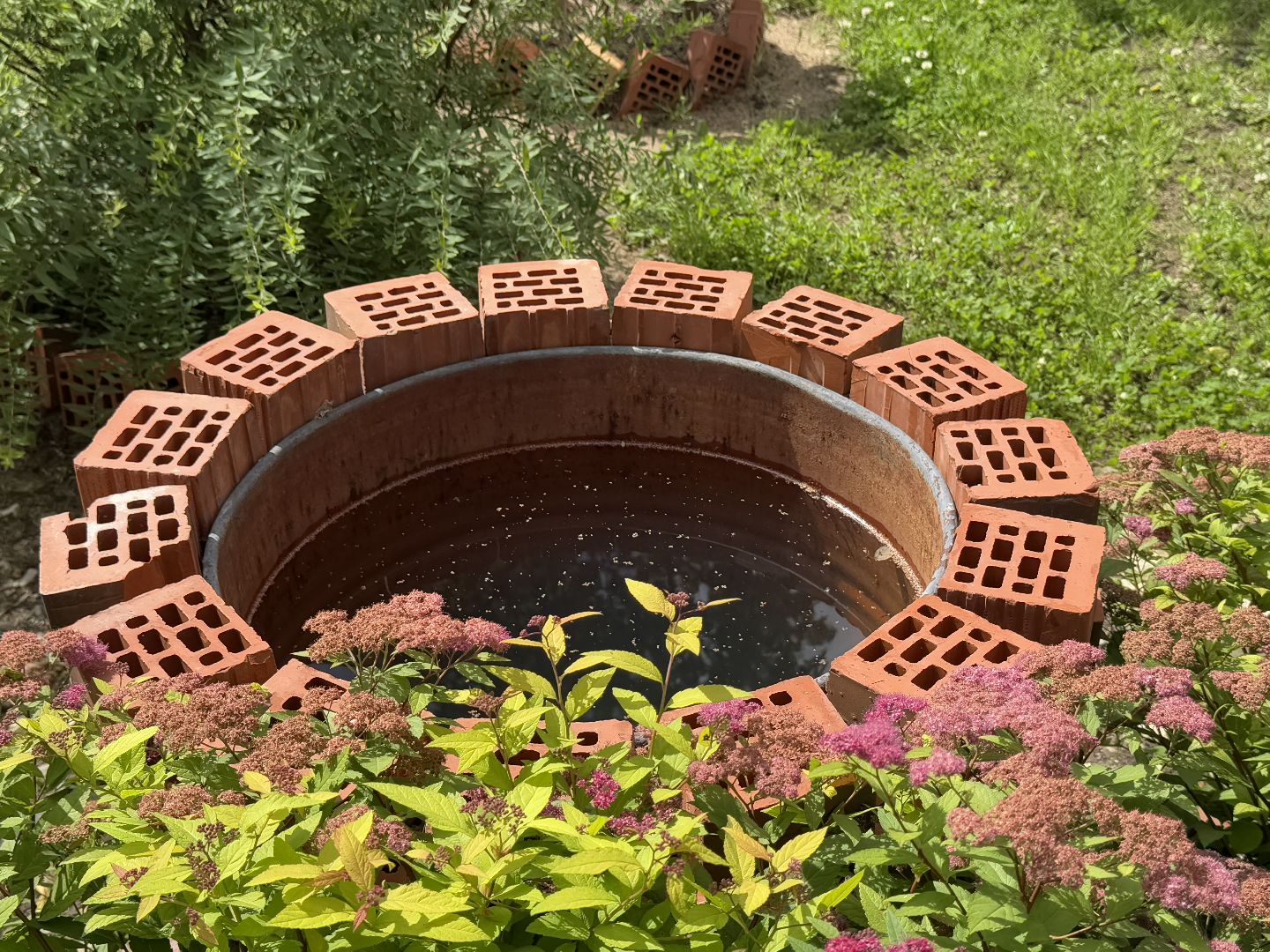 балашиха, двор-оранжерея, заречная улица,