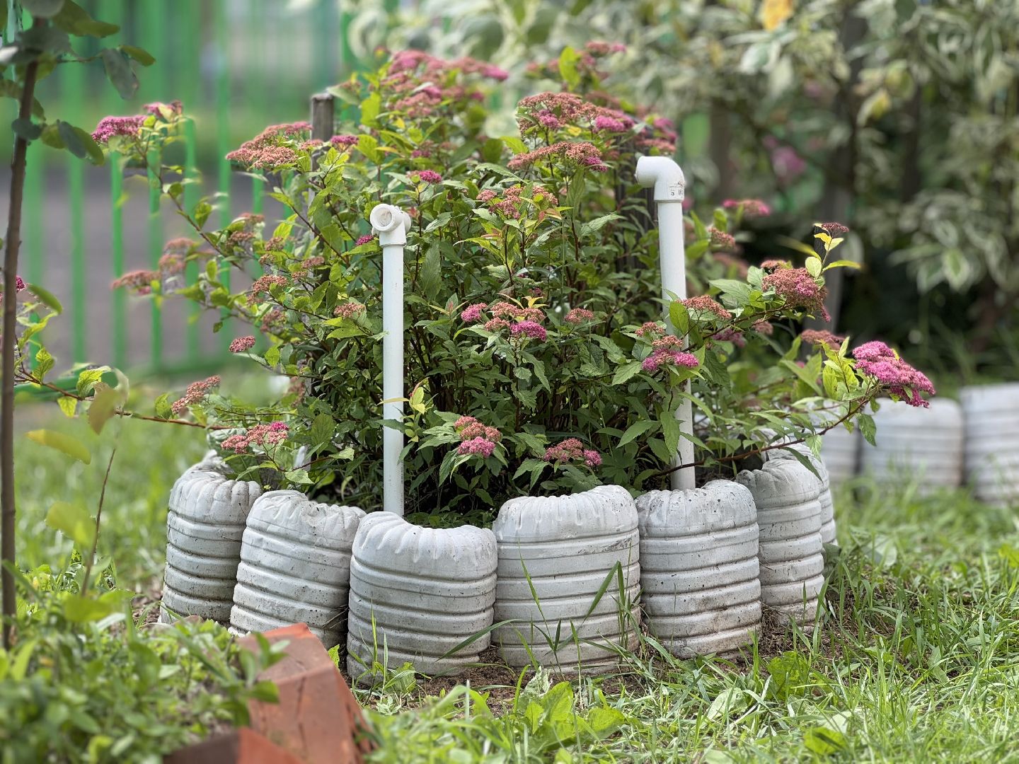 балашиха, двор-оранжерея, заречная улица,