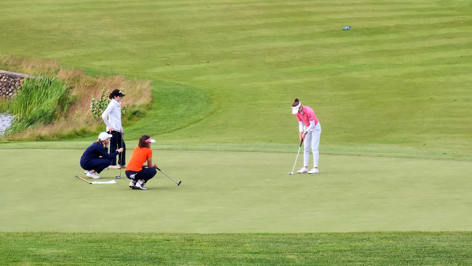 мытищи, гольф,