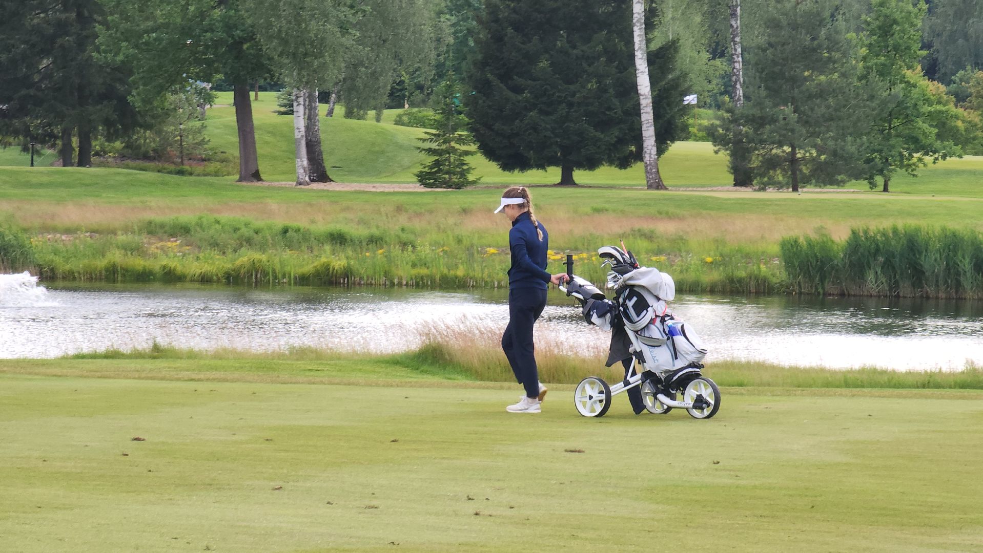 мытищи, гольф,