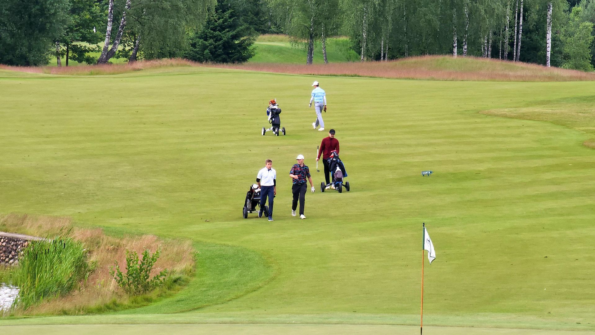 мытищи, гольф,