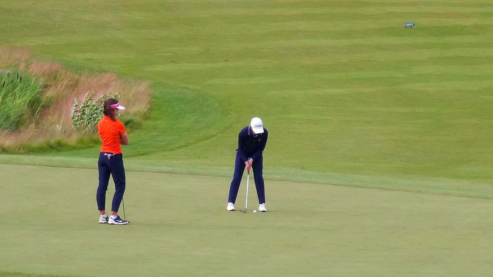 мытищи, гольф,