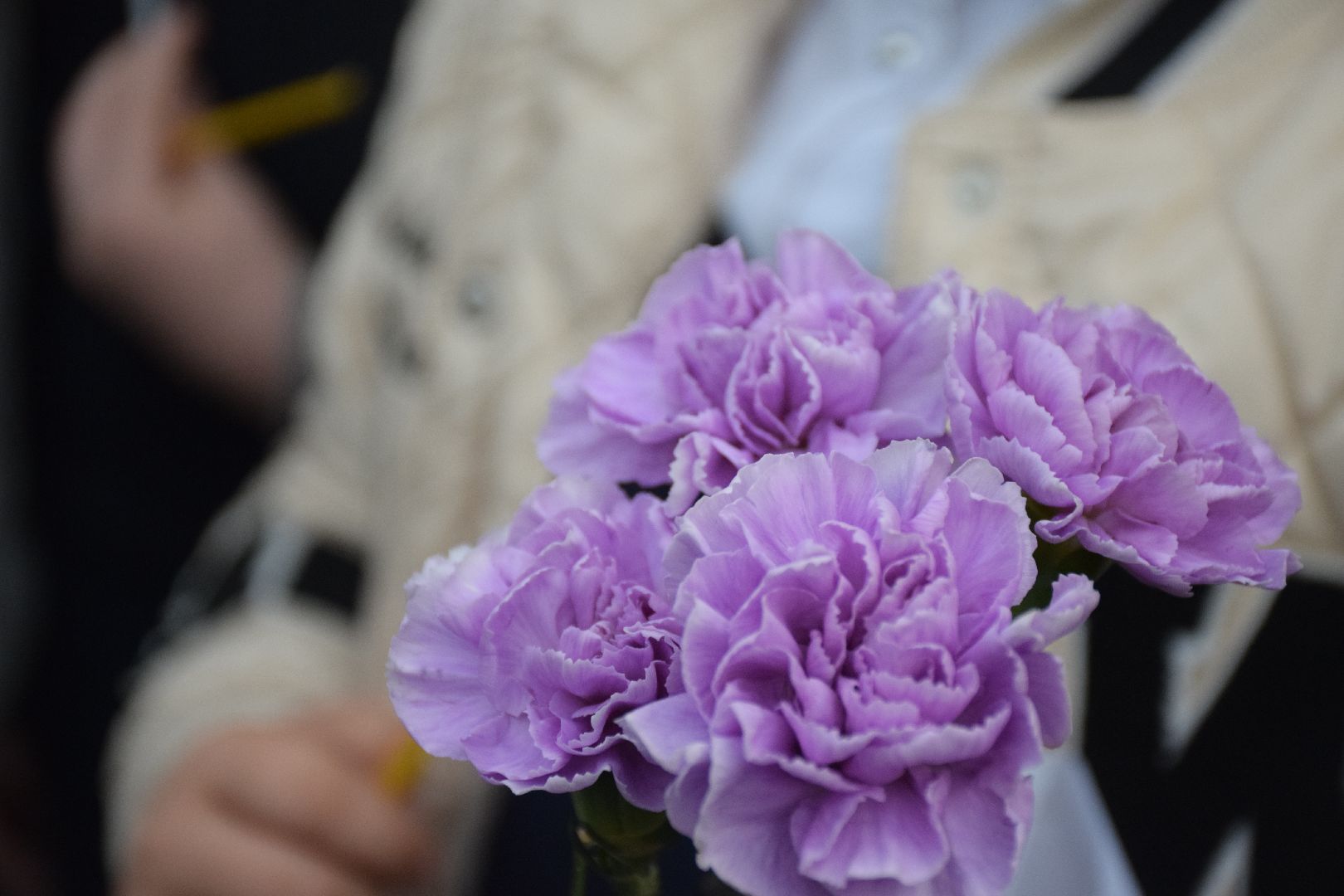 Павловский Посад, городской округ Павловский Посад, свеча памяти, цветы, акция