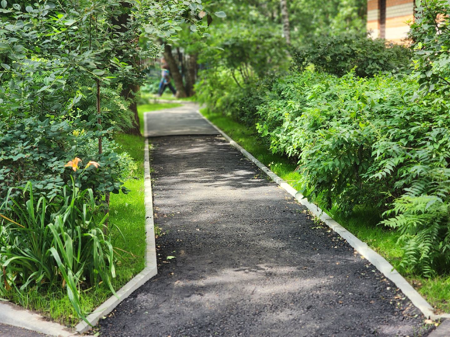 королёв,  благоустройство , обновленный двор на грабина,