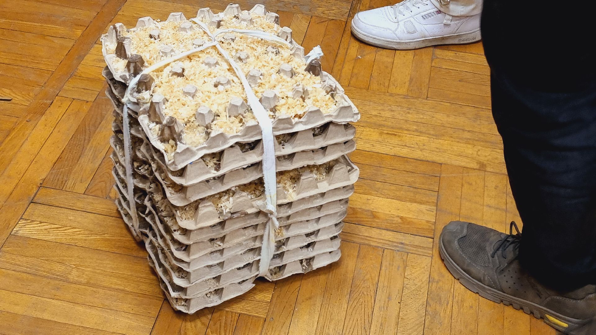 Подмосковье, Ивантеевка, волонтёры