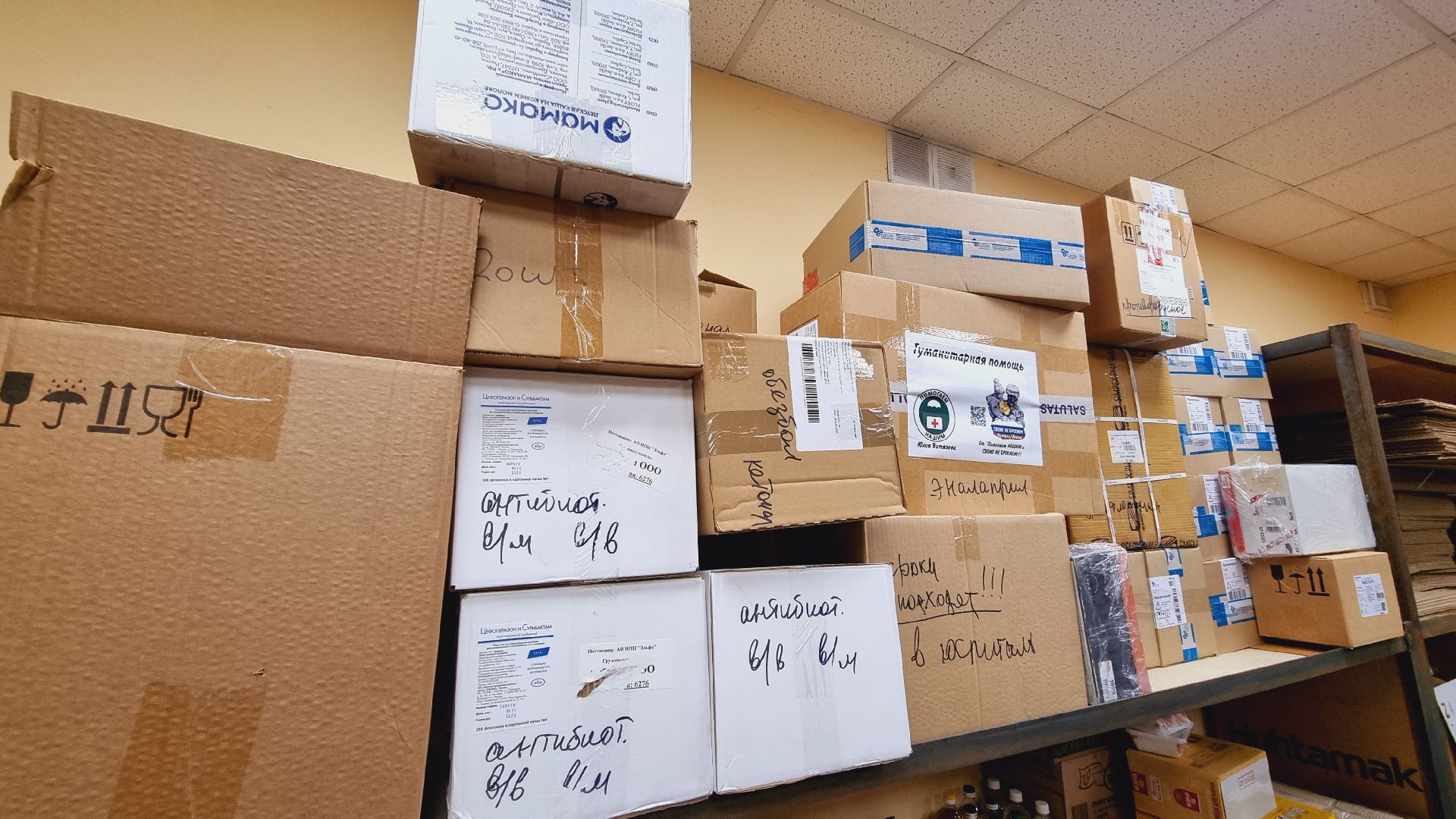 Подмосковье, Ивантеевка, волонтёры