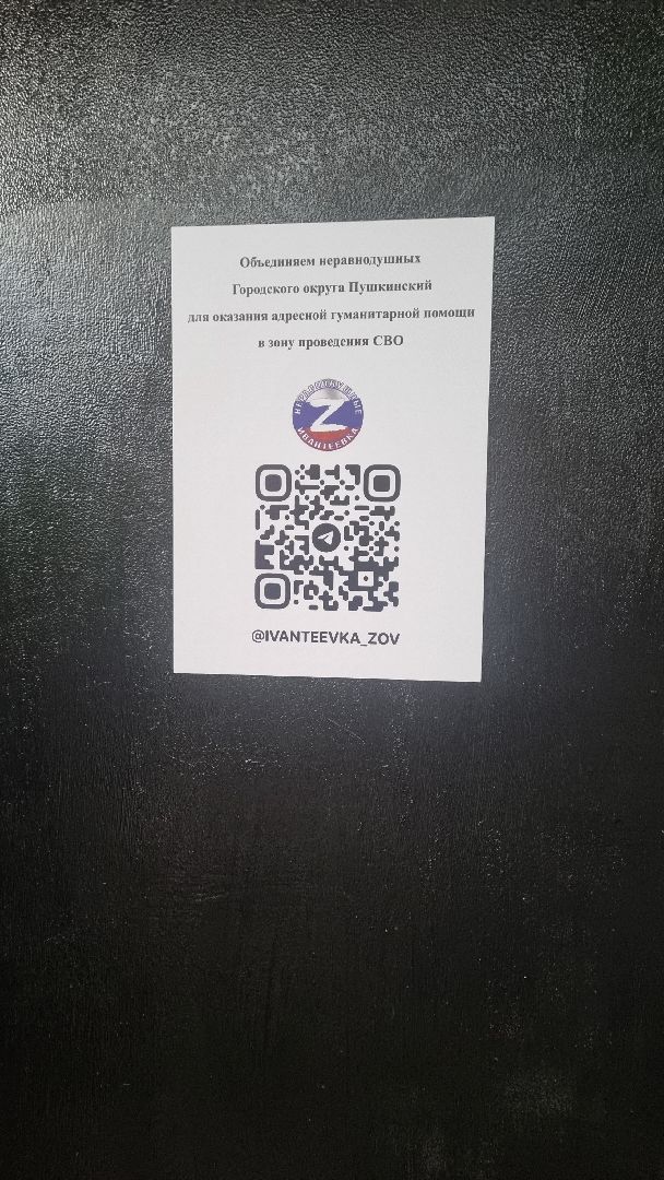 Подмосковье, Ивантеевка, волонтёры