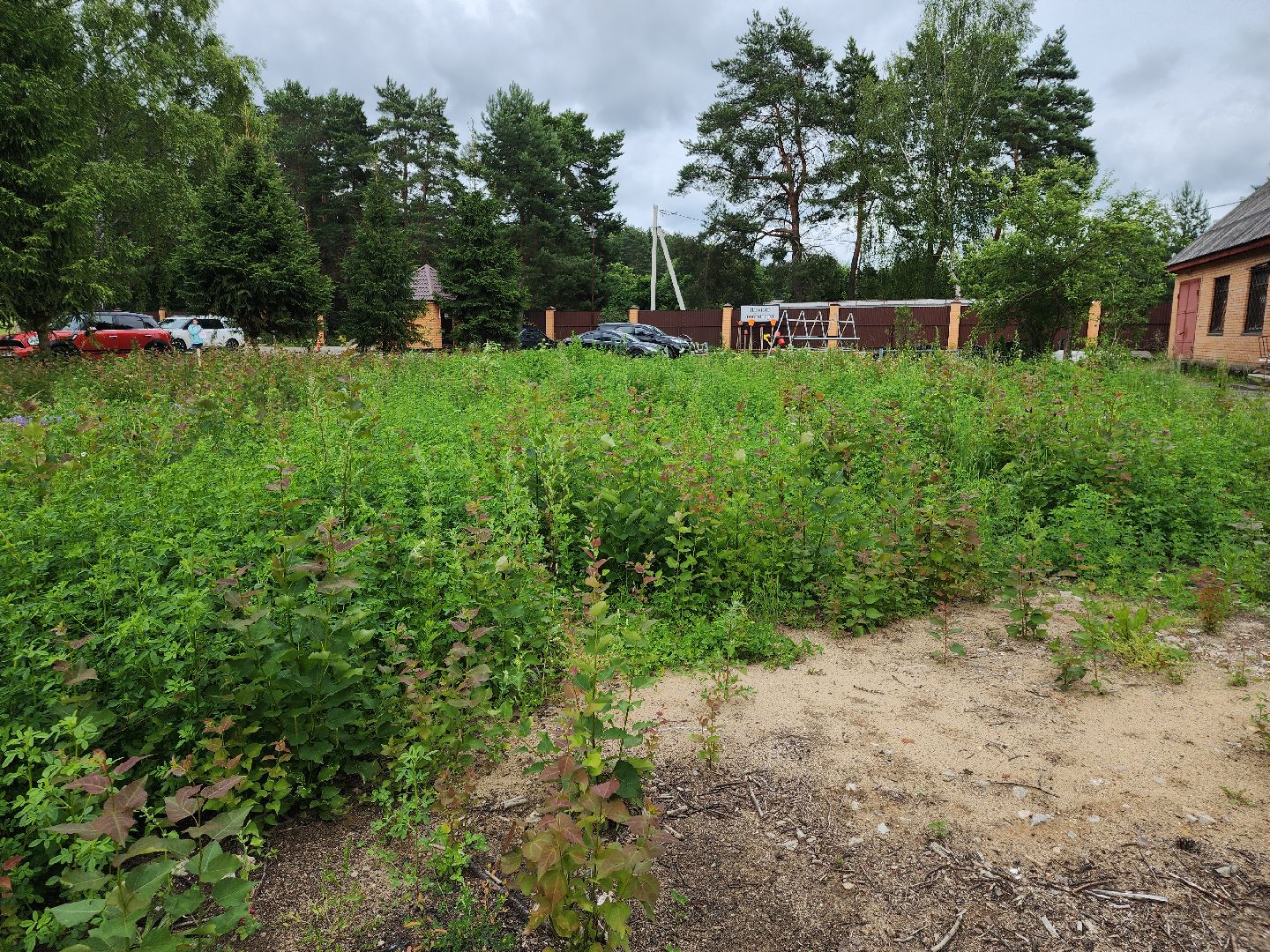 Черноголовка,  Выездная администрация, Кладбище,