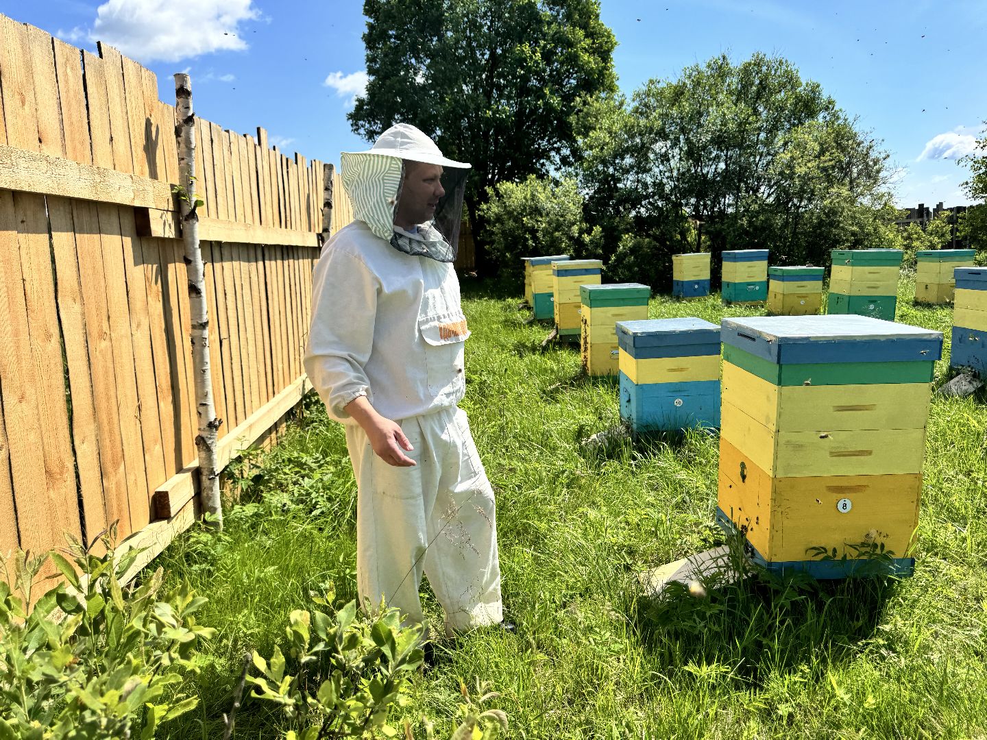 шаховская, пасека, пчеловод, пчелы,