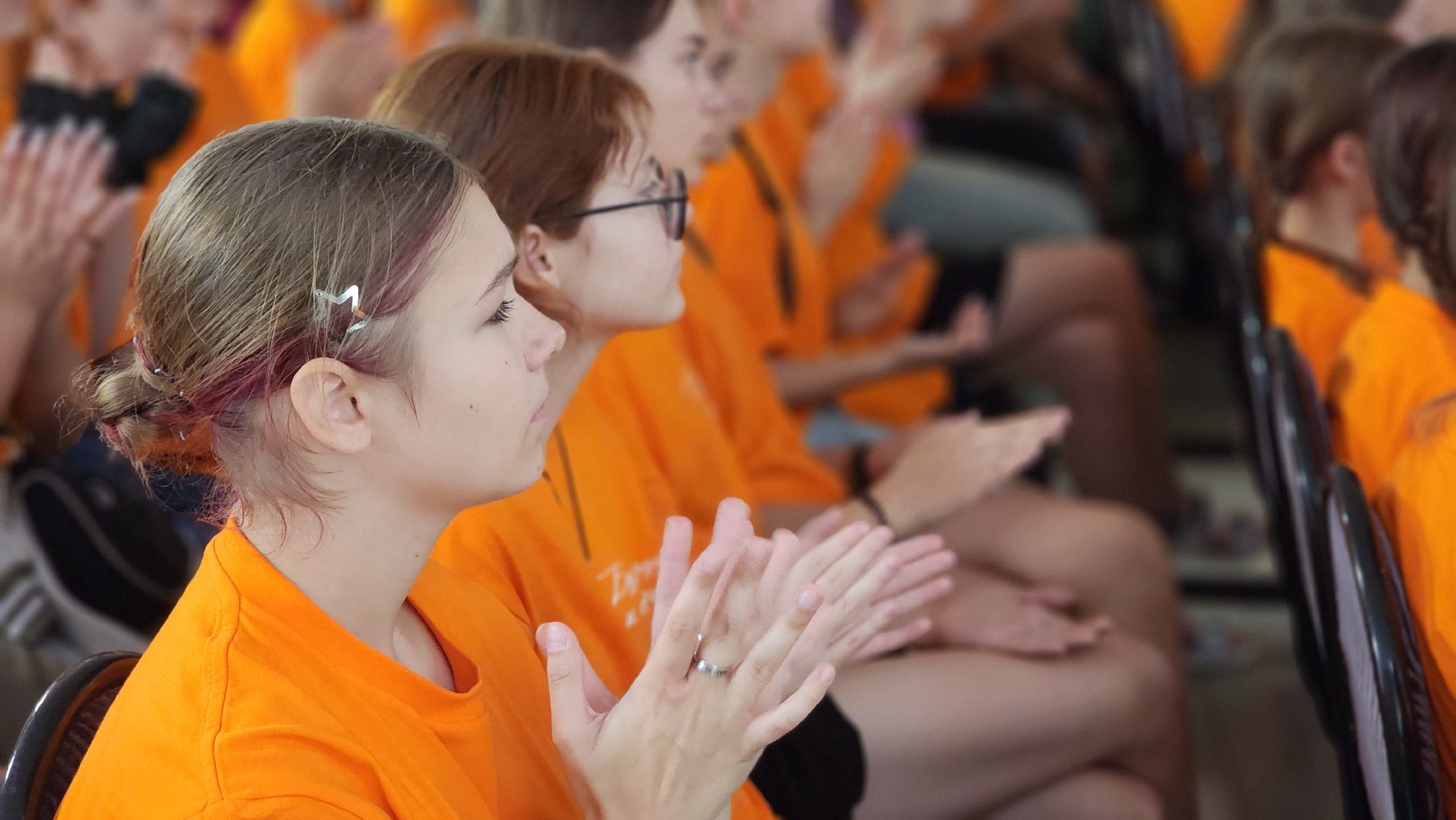 волоколамск, творческая встреча,александр шаганов,