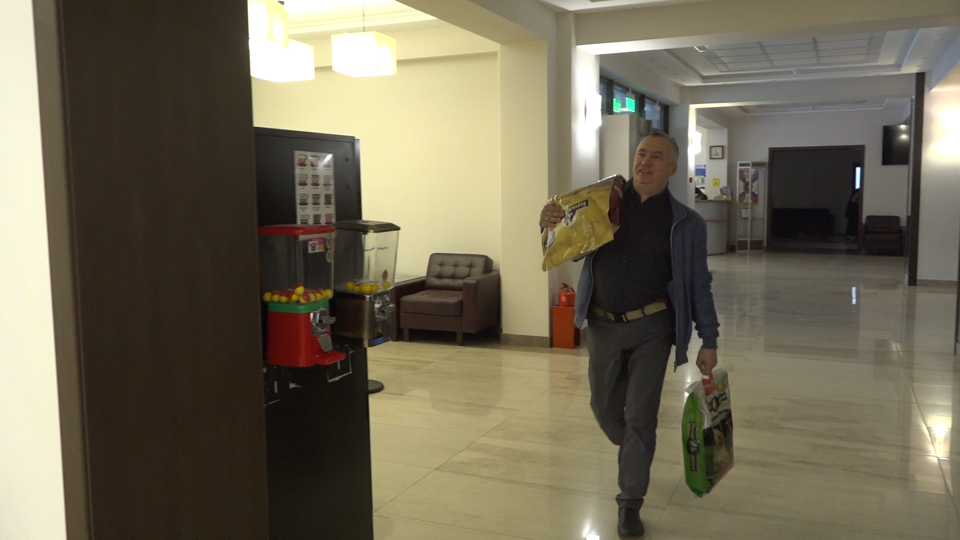 день собак, благотворительная акция, власиха волонтеры, помоги приюту, приют умка лесной городок,