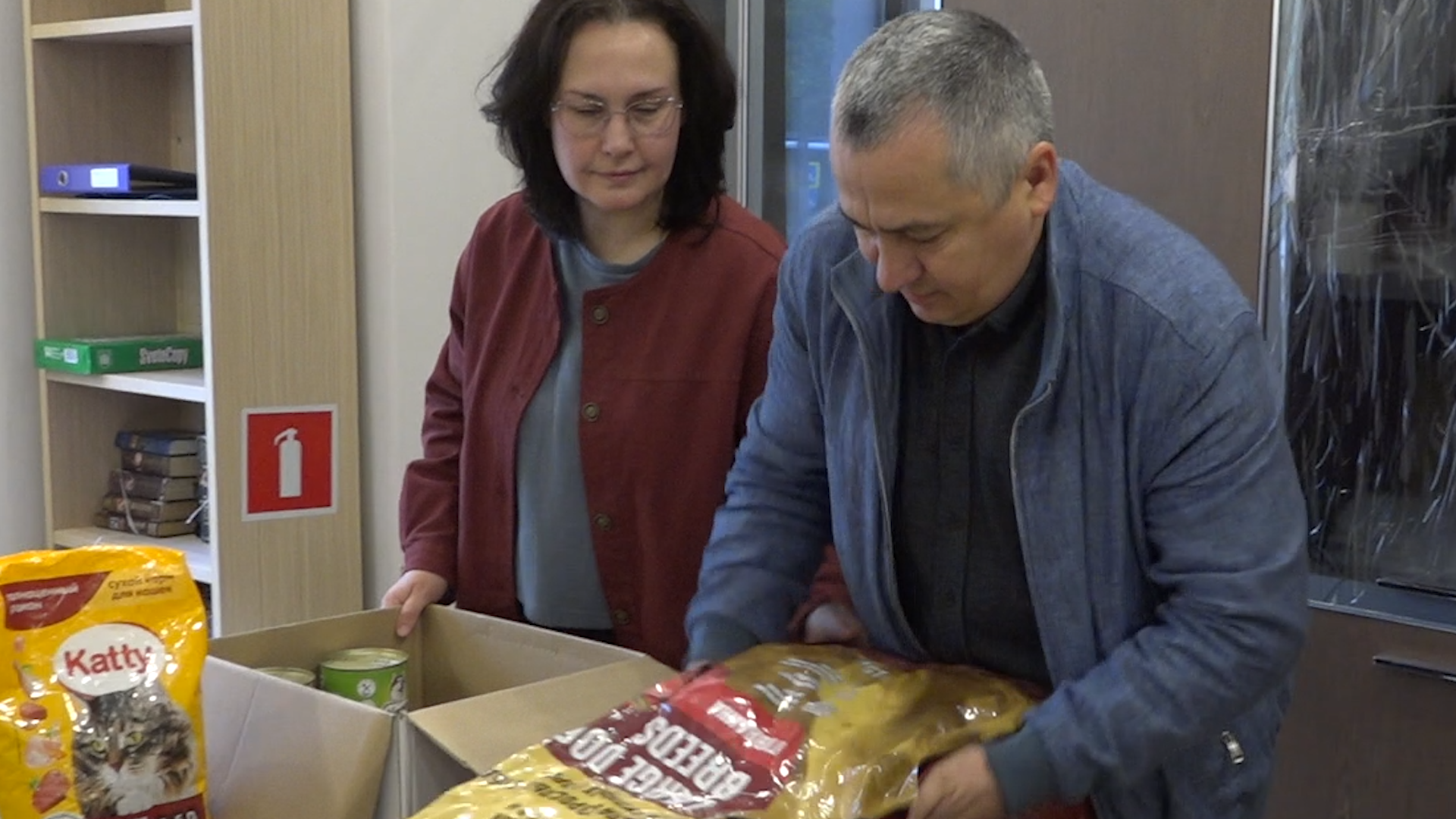 день собак, благотворительная акция, власиха волонтеры, помоги приюту, приют умка лесной городок,