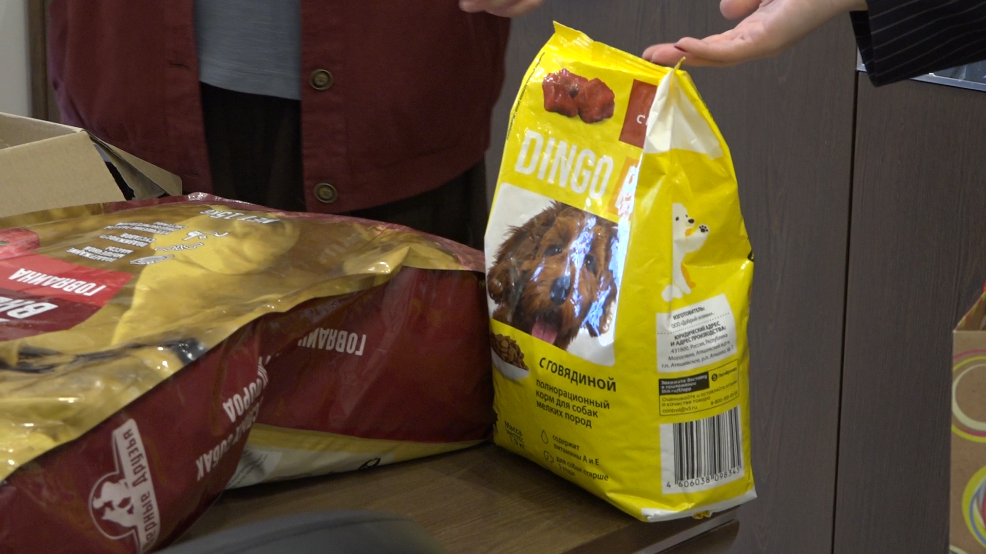 день собак, благотворительная акция, власиха волонтеры, помоги приюту, приют умка лесной городок,