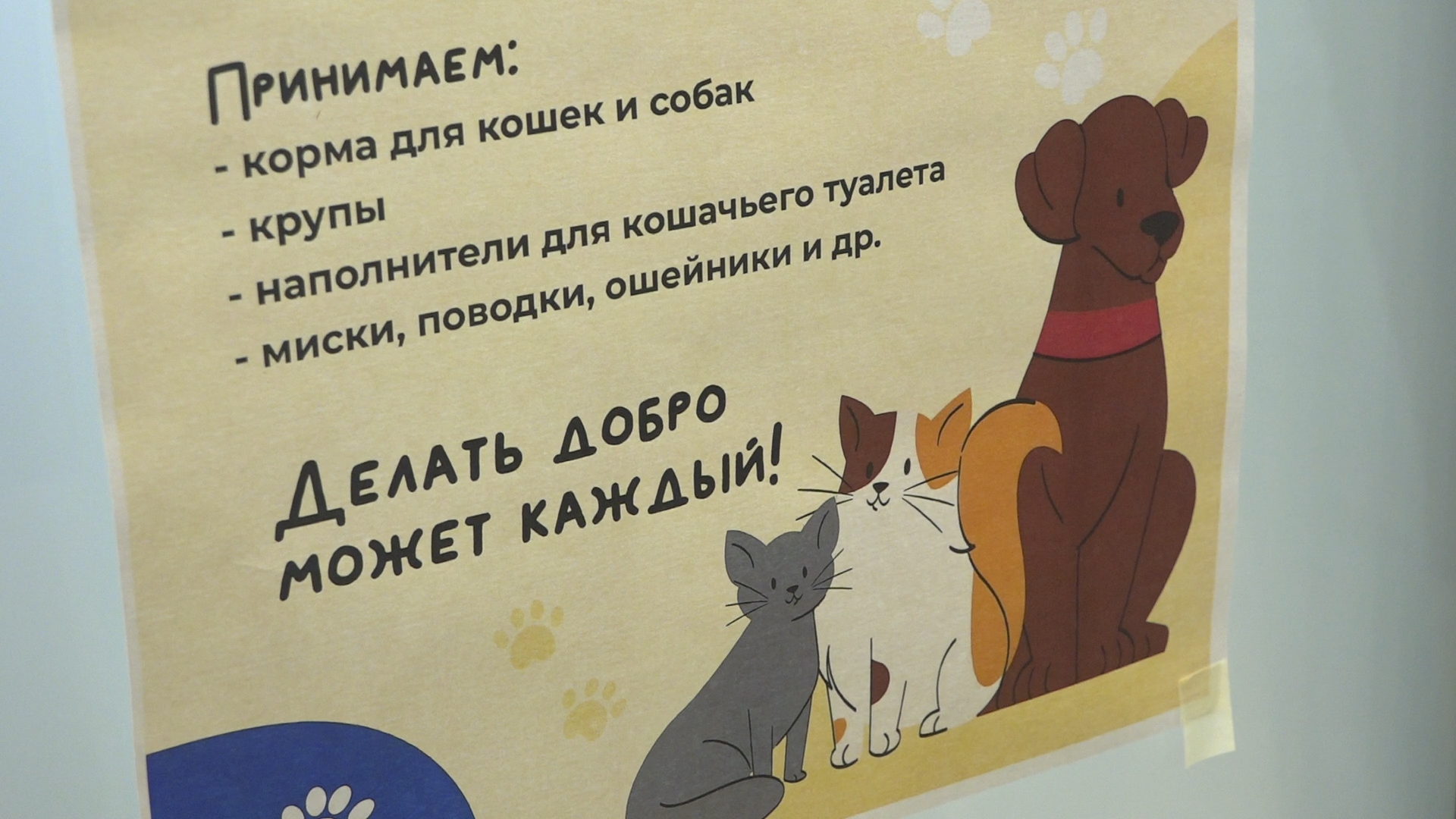 день собак, благотворительная акция, власиха волонтеры, помоги приюту, приют умка лесной городок,