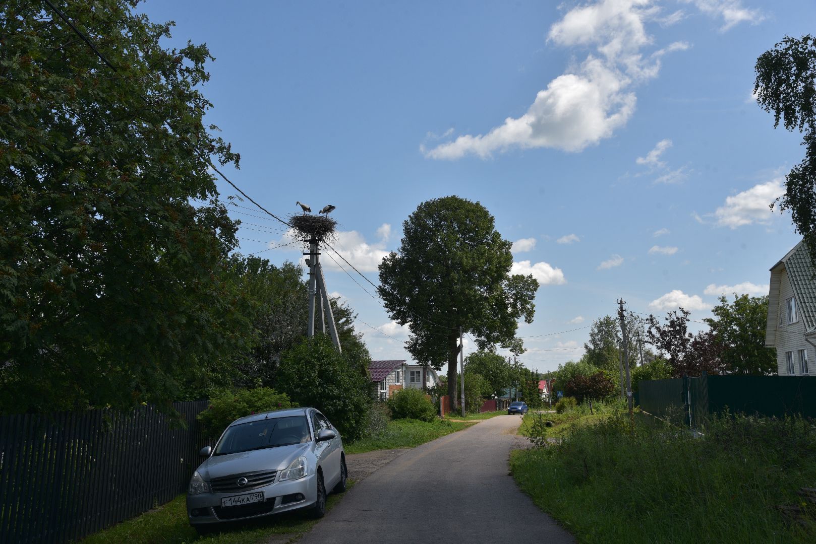 лотошино, экология, аисты,