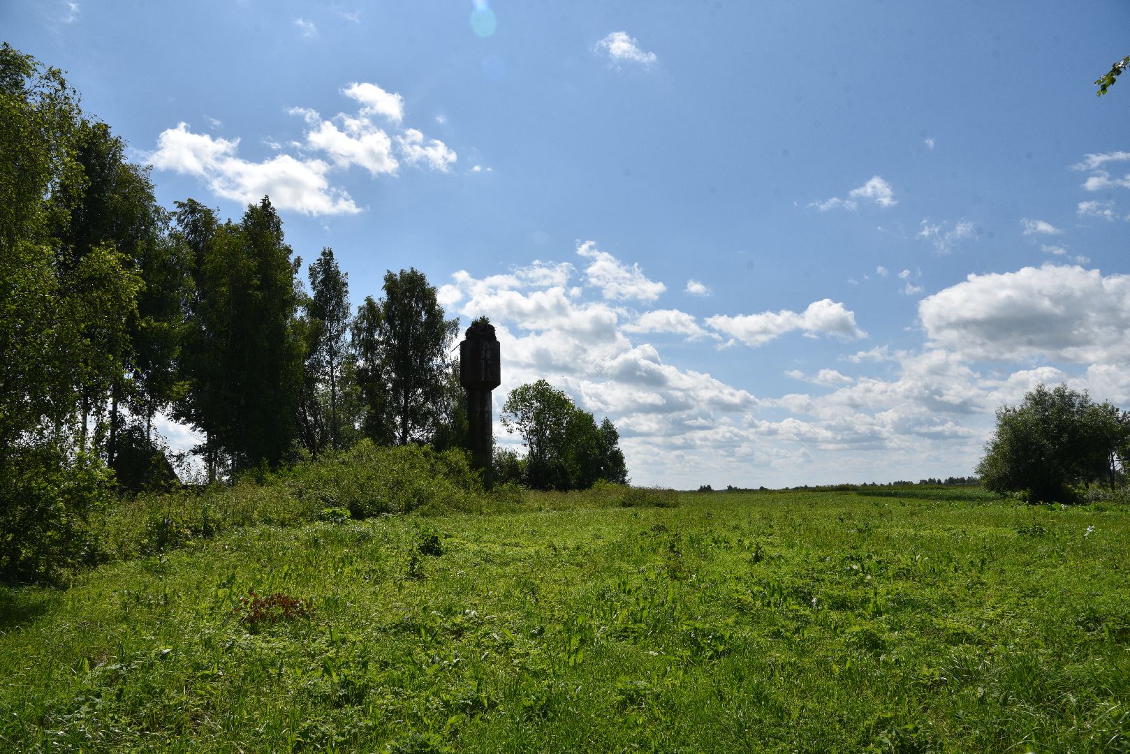 лотошино, экология, аисты,