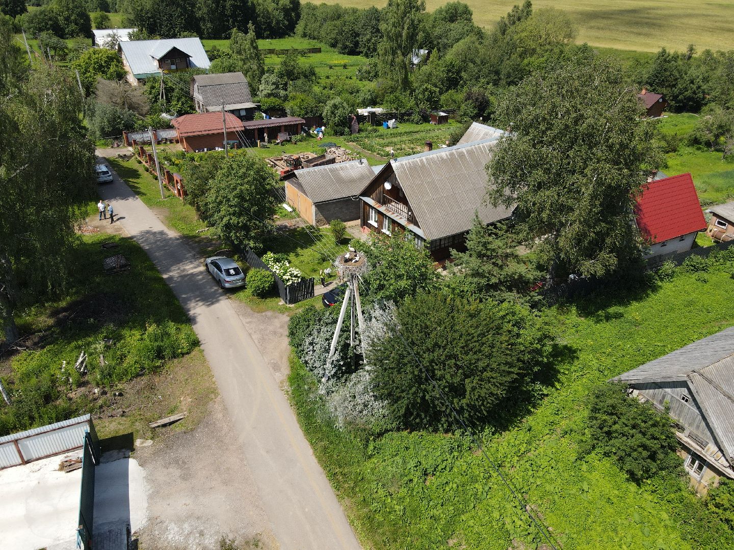 лотошино, экология, аисты,