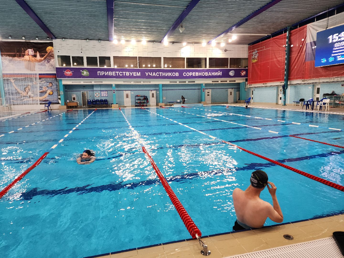 чехов, дворец спорта олимпийский, полина прощенко, синхронное плавание, судья, тренер, международные соревнования, допуск, санкции, биография, достижения,