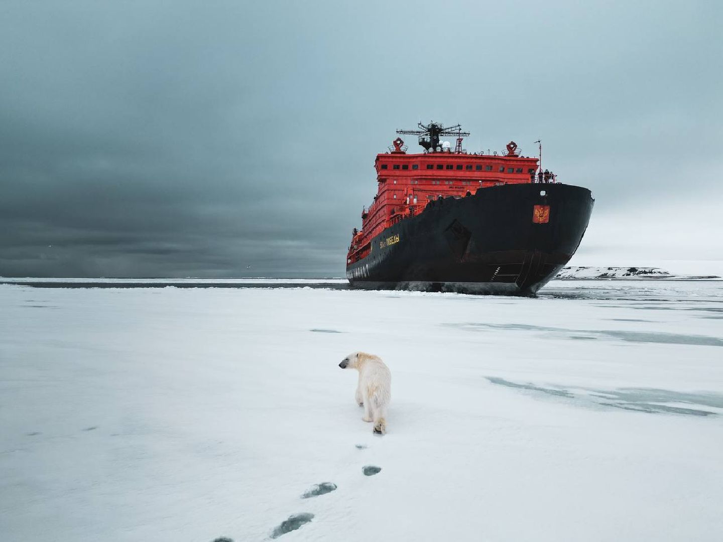 красноармейск, городской округ пушкинский, время героев, александр легков, ледокол арктика,