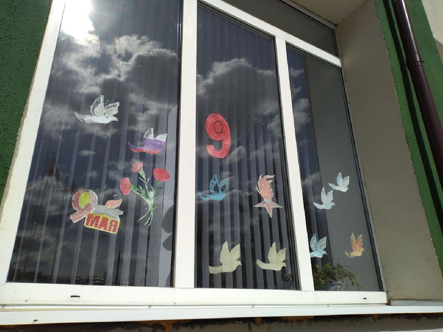 акция, Лосино-Петровский