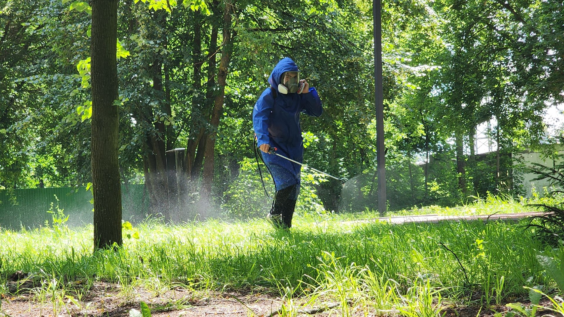 парки подмосковья, акарицидная обработка, лосино-петровский,