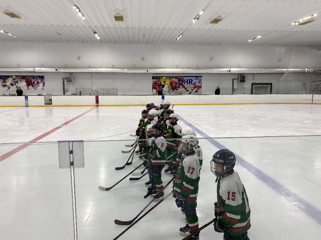 Шаховская, хоккей, ледовый дворец, детский спорт,