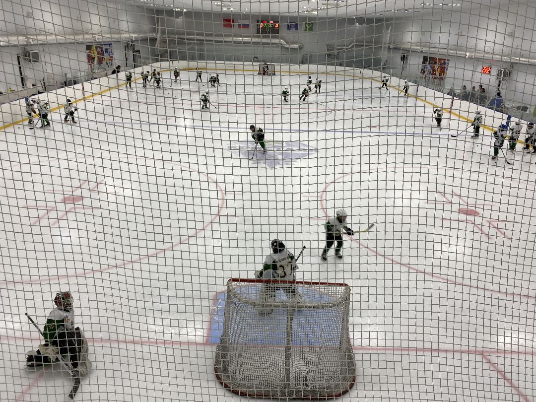 Шаховская, хоккей, ледовый дворец, детский спорт,