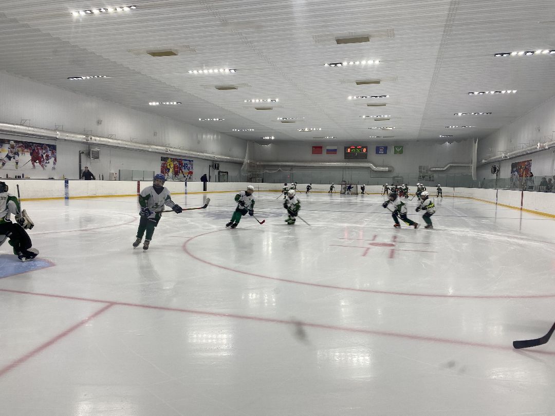 Шаховская, хоккей, ледовый дворец, детский спорт,