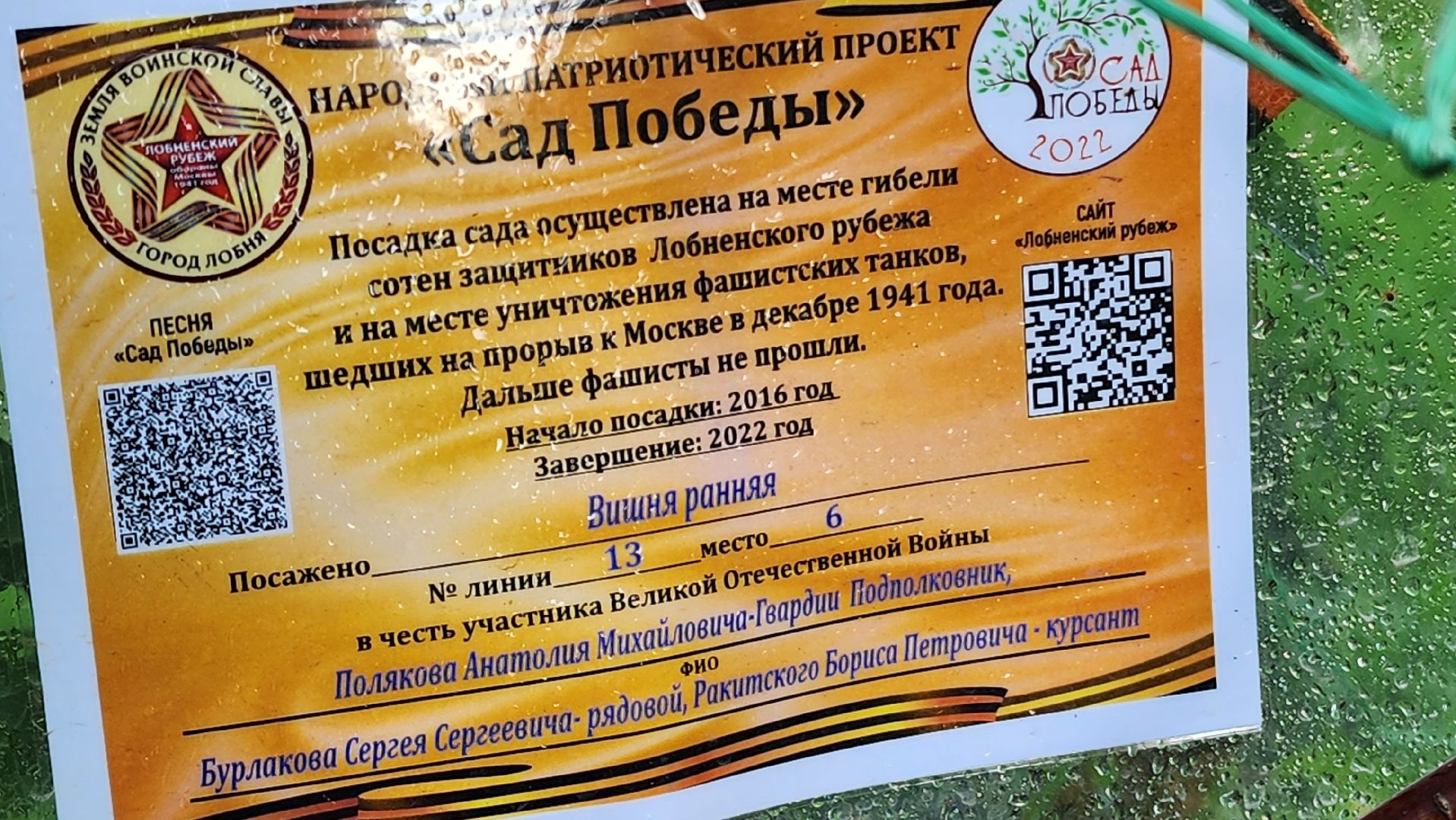 Сад Победы , Лобня , плодовый сад,Обработка деревьев ,