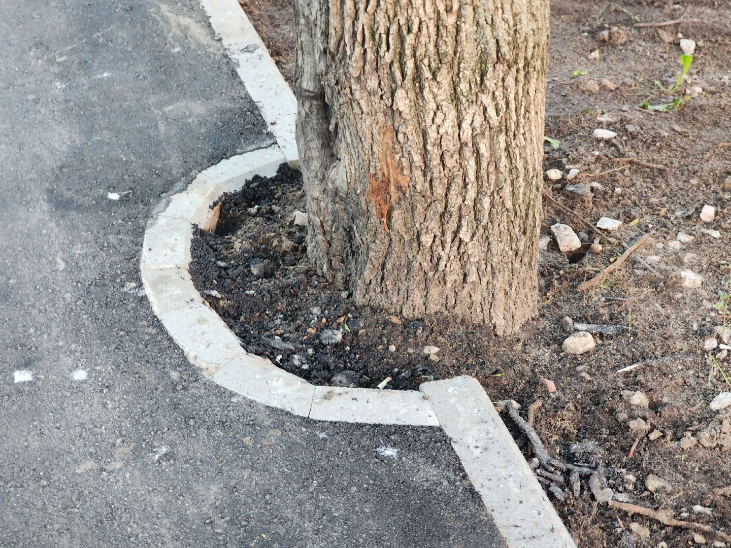 Черноголовка, Благоустройство, Дороги,